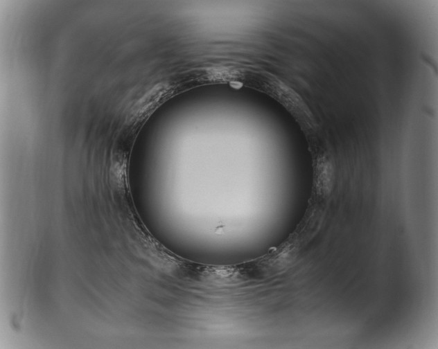 X0000102470329200808081256