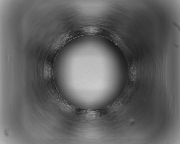 X0000102470330200808081256