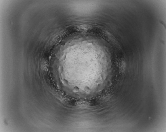 X0000102470331200808081256