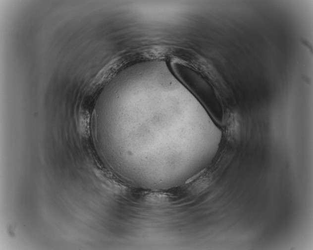 X0000102470332200808081256