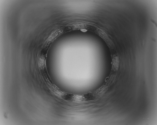 X0000102470333200808081256