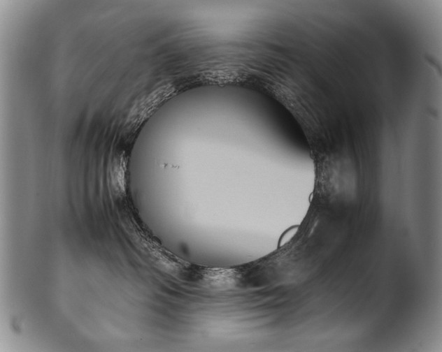 X0000102470334200808081256