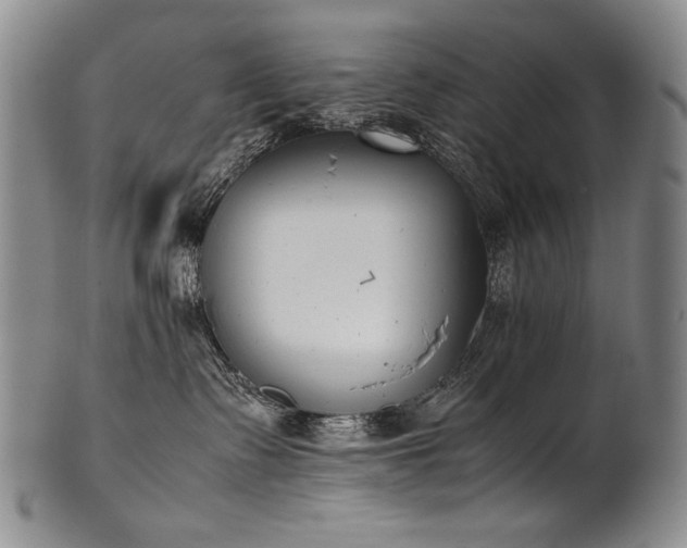 X0000102470335200808081256