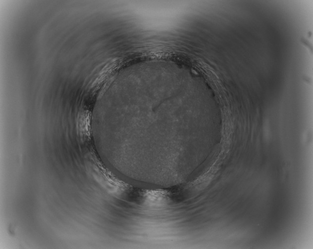 X0000102470336200808081256