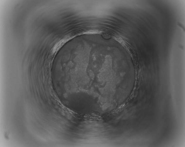 X0000102470337200808081255