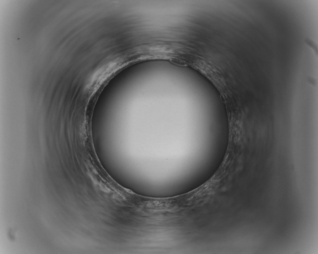 X0000102470338200808081255