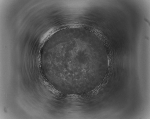 X0000102470339200808081255
