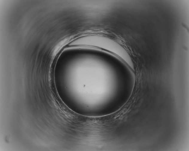 X0000102470340200808081255