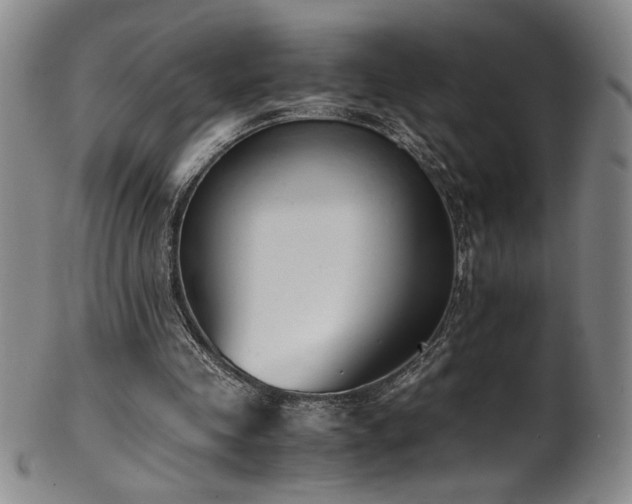 X0000102470341200808081255