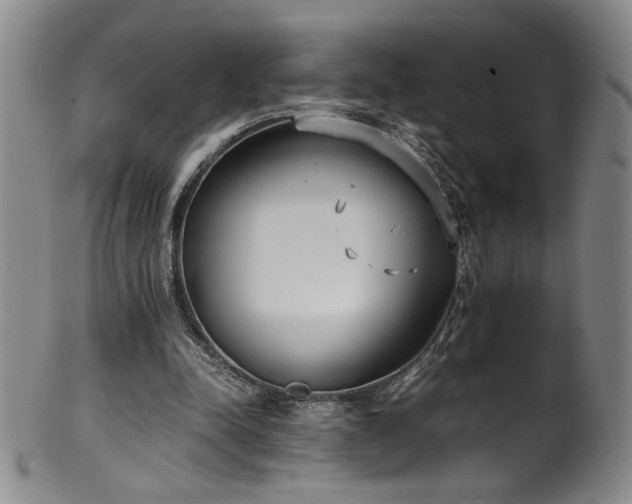 X0000102470342200808081255