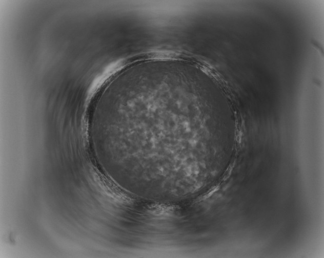 X0000102470343200808081255