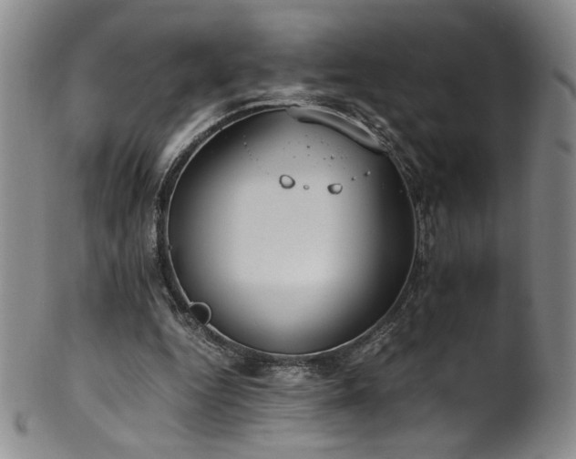 X0000102470344200808081255