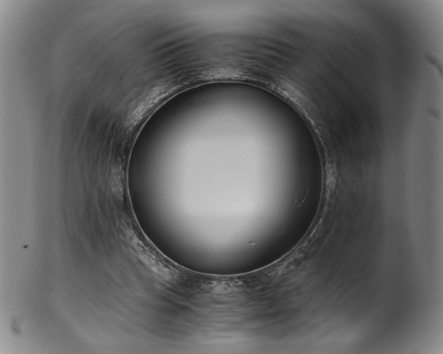 X0000102470345200808081255
