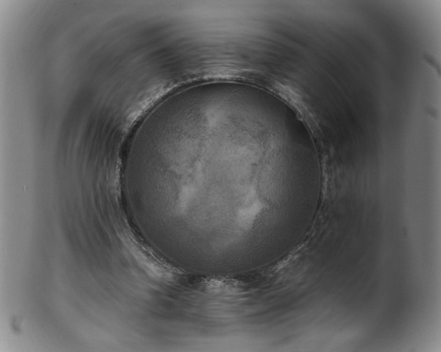 X0000102470346200808081255