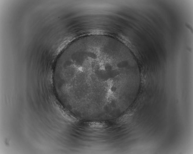 X0000102470347200808081255