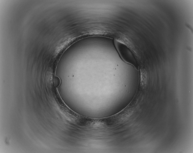 X0000102470348200808081255