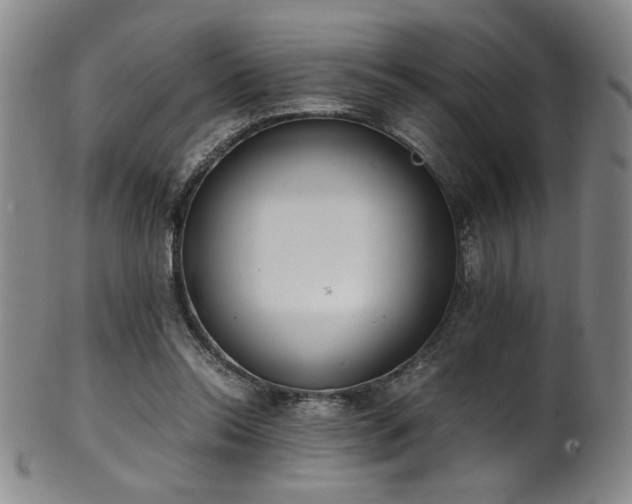 X0000102470350200808081255