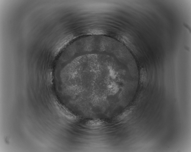 X0000102470351200808081255