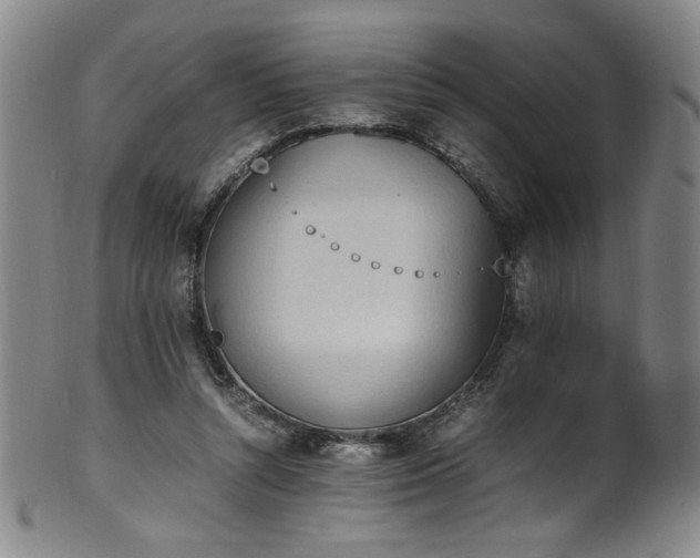 X0000102470352200808081255