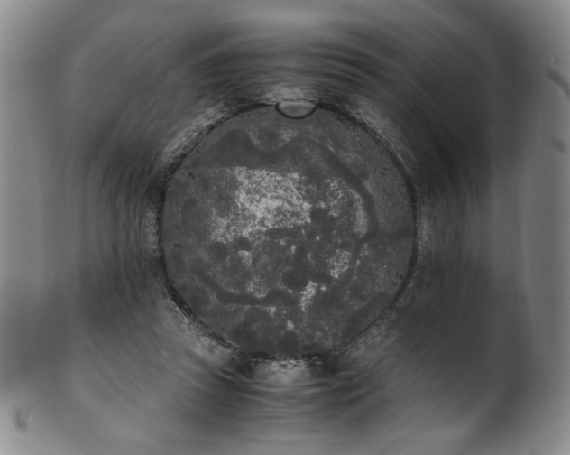 X0000102470353200808081255