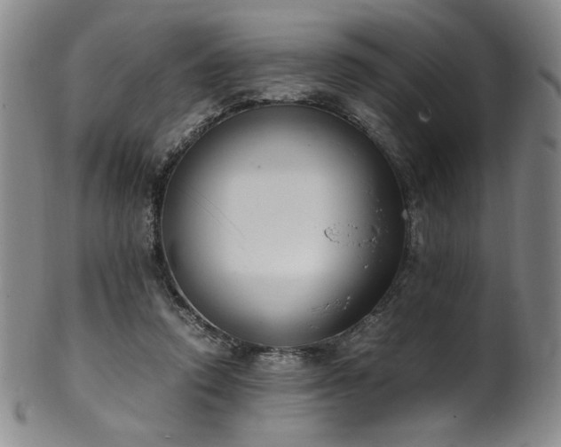 X0000102470354200808081255