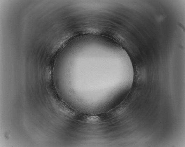 X0000102470355200808081255