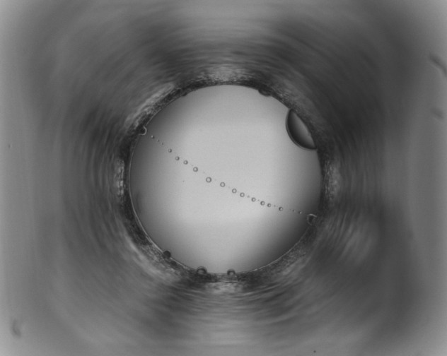 X0000102470356200808081256