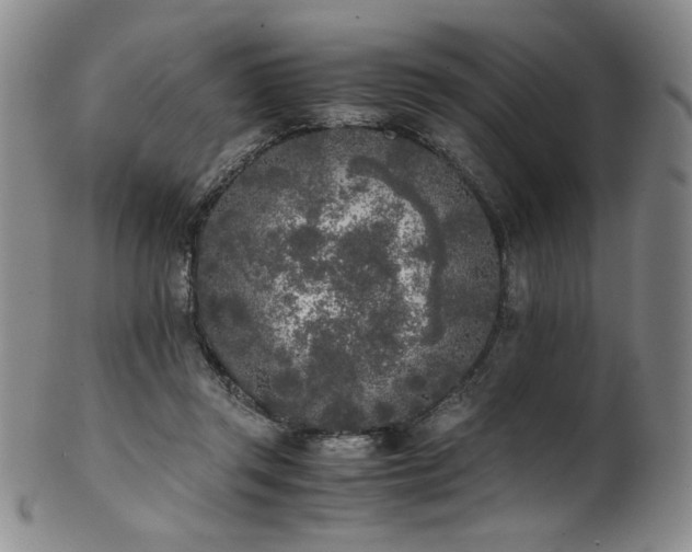 X0000102470357200808081256