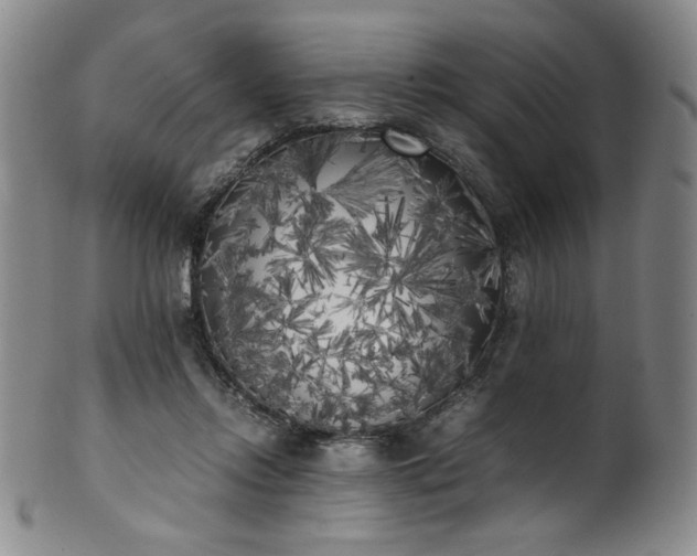 X0000102470358200808081256