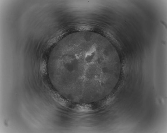 X0000102470359200808081256
