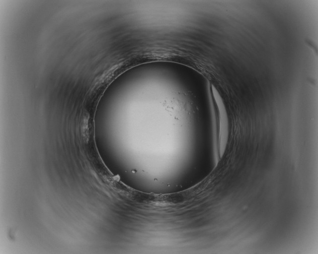 X0000102470360200808081256