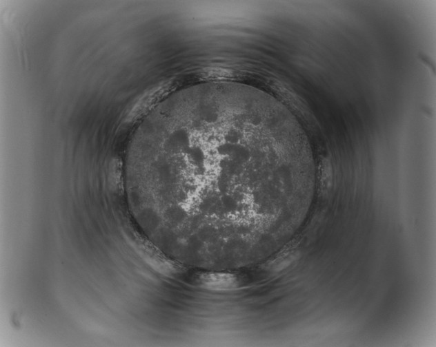 X0000102470361200808081256