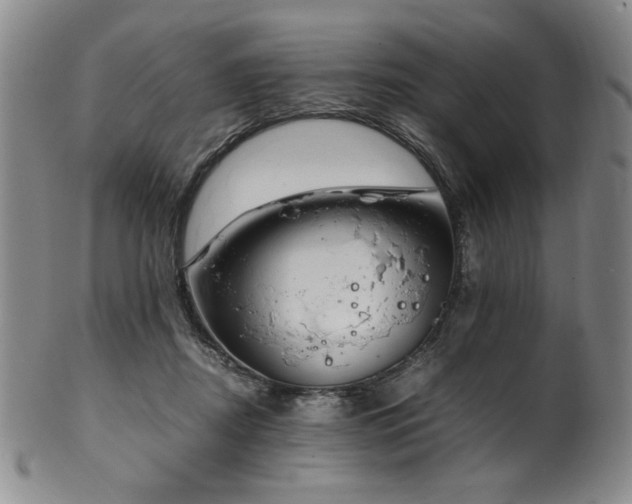 X0000102470362200808081256