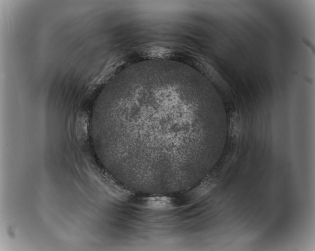 X0000102470363200808081256