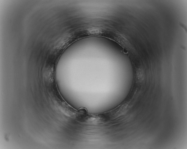 X0000102470364200808081256