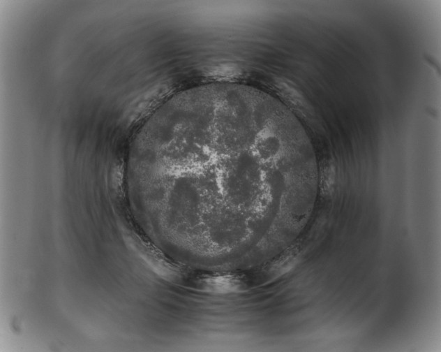 X0000102470365200808081256