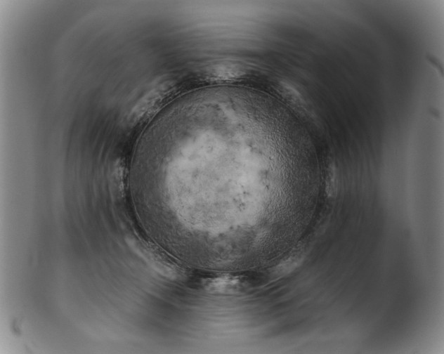X0000102470366200808081256