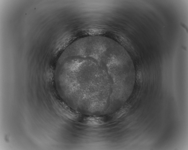 X0000102470367200808081256