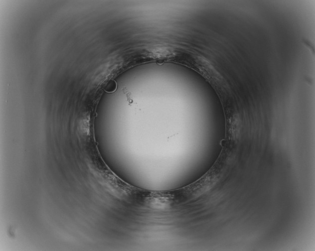 X0000102470368200808081256