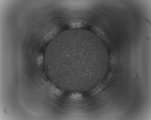 X0000102470369200808081256