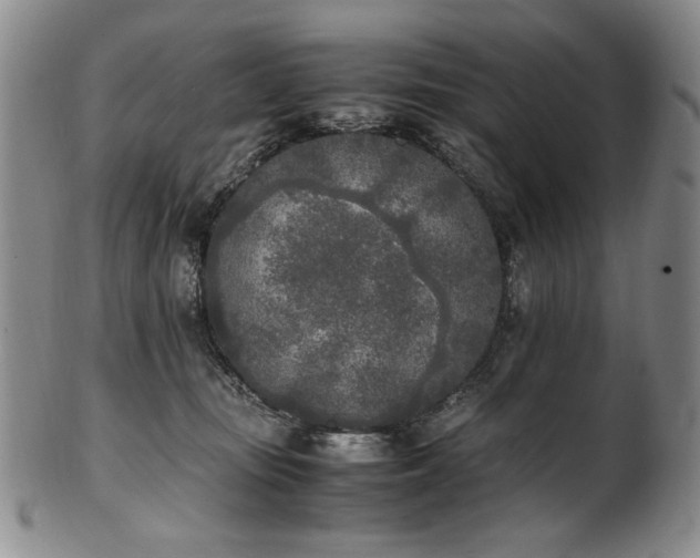 X0000102470371200808081256