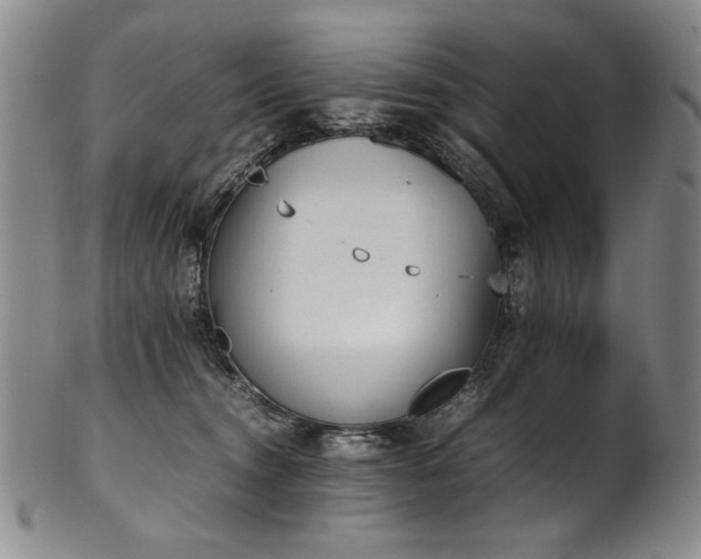 X0000102470372200808081256