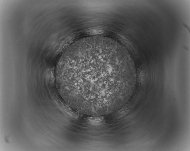 X0000102470373200808081256