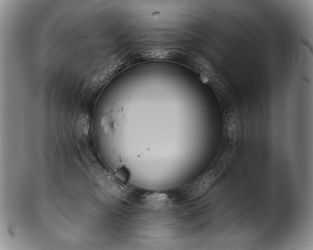 X0000102470374200808081256