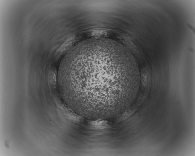 X0000102470375200808081256