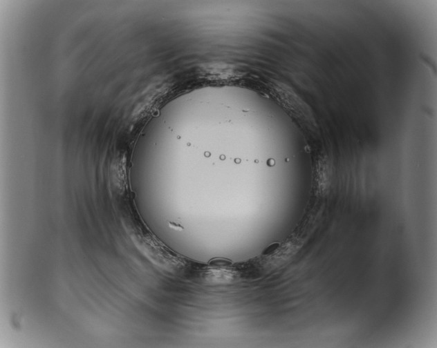 X0000102470376200808081256