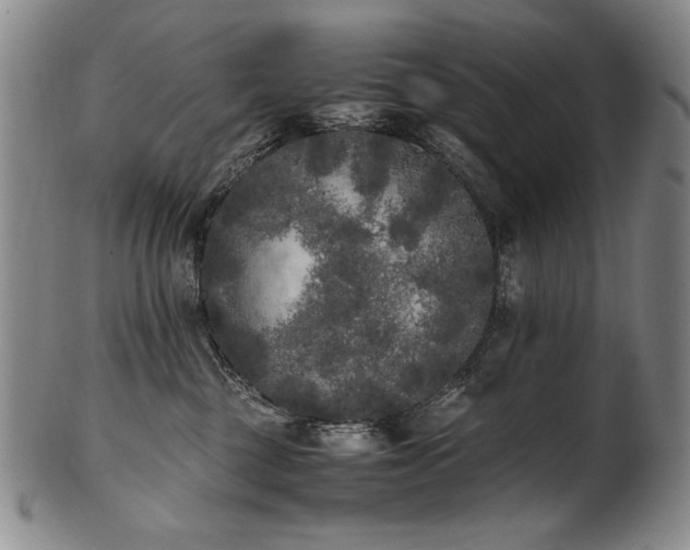 X0000102470377200808081256