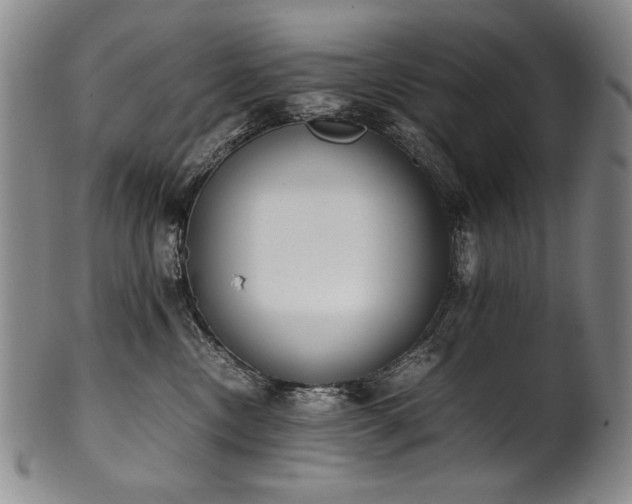 X0000102470378200808081256