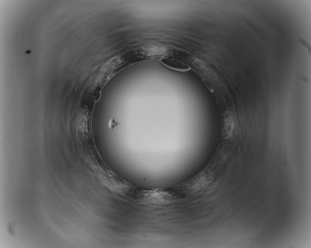 X0000102470379200808081256