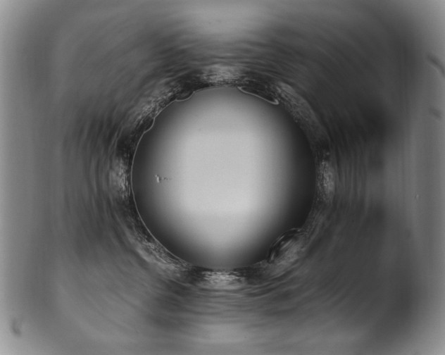 X0000102470380200808081256